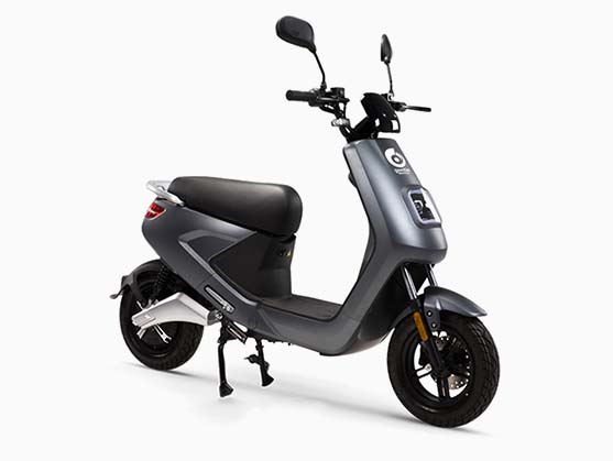 unghi1-gri_descriere